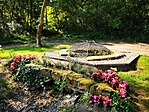 IMG_20200627_085514