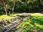 IMG_20200627_085538