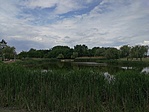 IMG_20200530_123335