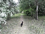 IMG_20200530_164513