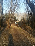 IMG_20200409_172540