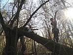 IMG_20200410_112252