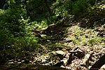 HER_1592_tn