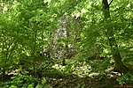 HER_1590_tn
