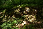 HER_1579_tn