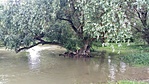 Kulcs Duna-part