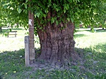 P1200899