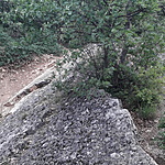 20200622_121931