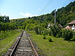 P1150690