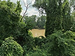 IMG_20200703_144008