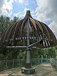 IMG_20200703_144037