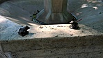 WP_20200701_15_25_17_Pro