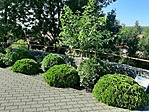 20200728_094114