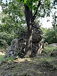 20200730_091612