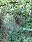20200718_162014[1]