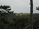 DSCN7568