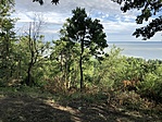 IMG_1166
