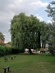 IMG_20200721_183610