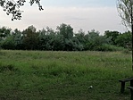 IMG_20200721_183538