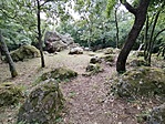 IMG_20200723_165110
