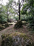 IMG_20200723_165118_1