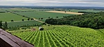 IMG_20200630_100908