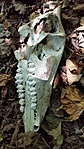 20200729_125638