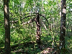 IMG_20200704_090708