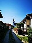 IMG_20200623_171858_resize_2