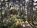 IMG_20200707_171203_resize_2