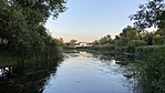 IMG_4555