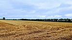IMG_5402