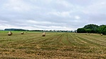 IMG_5411