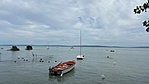 IMG_5741