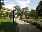 Krúdy Gyula hazatér-4