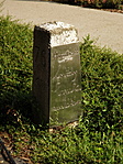 Krúdy Gyula hazatér-5