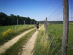 IMG_20200627_151115