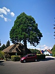 IMG_20200720_134557