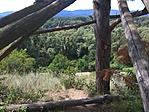IMG_20200730_115354