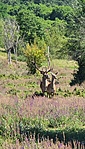 20200712_105426