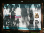 P1340343