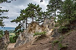 _DSC1731