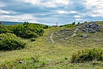 _DSC1742