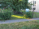 IMG_7440