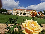 IMG_20200726_132154