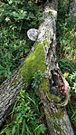 IMG_20200726_144027