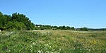 20200705_103428