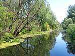 DSC04550