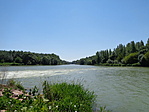 DSC04610