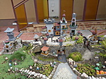 DSC05248